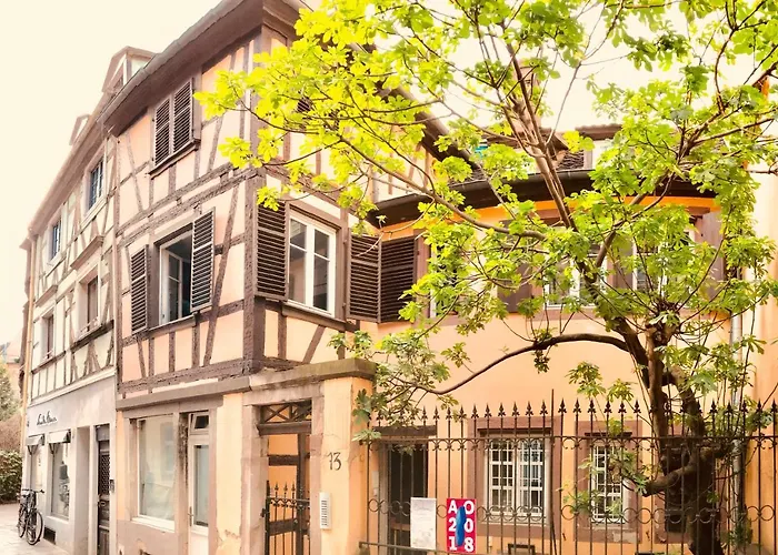 Attic Duplex In The Heart Of Strasbourg